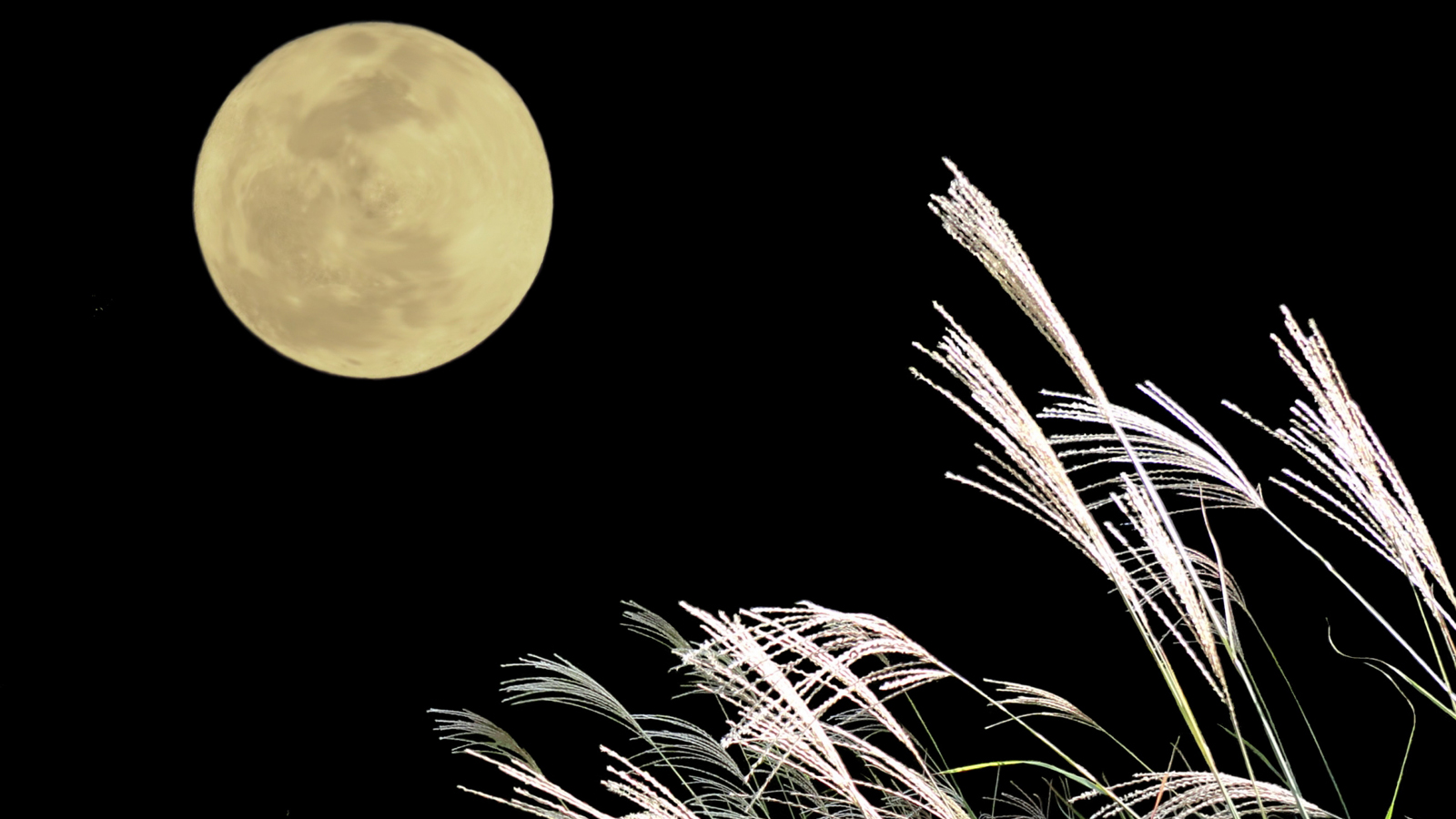 月のキレイな夜 おやすみ前に読みたいお月見絵本5選 ぎゅってweb