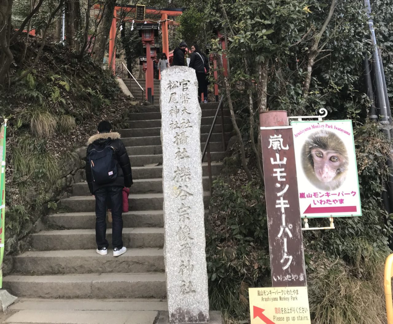 京都ディープスポット 嵐山に猿山があるらしいで と夫は言った ぎゅってweb