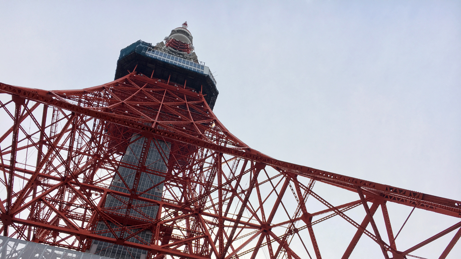 東京タワー特別展望台がリニューアル トップデッキツアー体験レポ ぎゅってweb