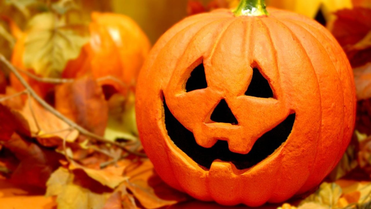 プレミアム 値下げハロウィンまで特別価格！！ 告知情報 インテリア