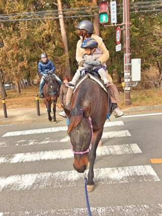 【子連れ旅】冬の山梨　北杜編　