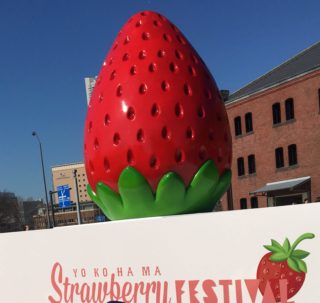 【赤レンガ倉庫】イチゴ好き集まれ〜！毎年恒例フェスティバル
