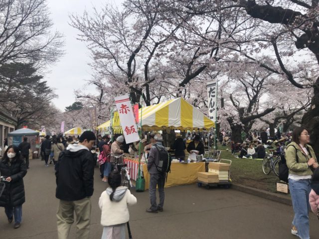 子連れお花見におすすめ 小金井公園で桜祭り ぎゅってweb