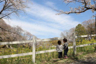 天皇陛下も訪れた「こどもの国」の写真撮影スポットおすすめ場所！