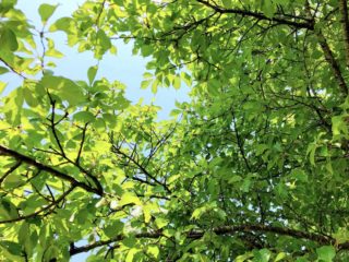 噂の人気遊び場「東京ドイツ村」に行ってみた！