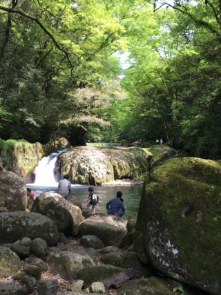 商売っ気ゼロの観光地―熊本地震後に訪れた【名水百選・菊池渓谷】