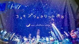 【渋谷】猫・星・カバ!? 子連れで丸一日楽しめた！おでかけスポットを紹介