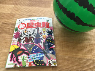 3歳娘も楽しめた！小学館の図鑑「NEOのクラフトブック」で夏休みの室内遊び