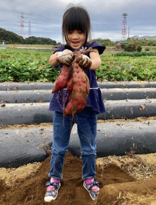 【芋掘り】多摩線の駅近で子連れに◎｢黒川東芋掘会｣で秋の収穫体験！