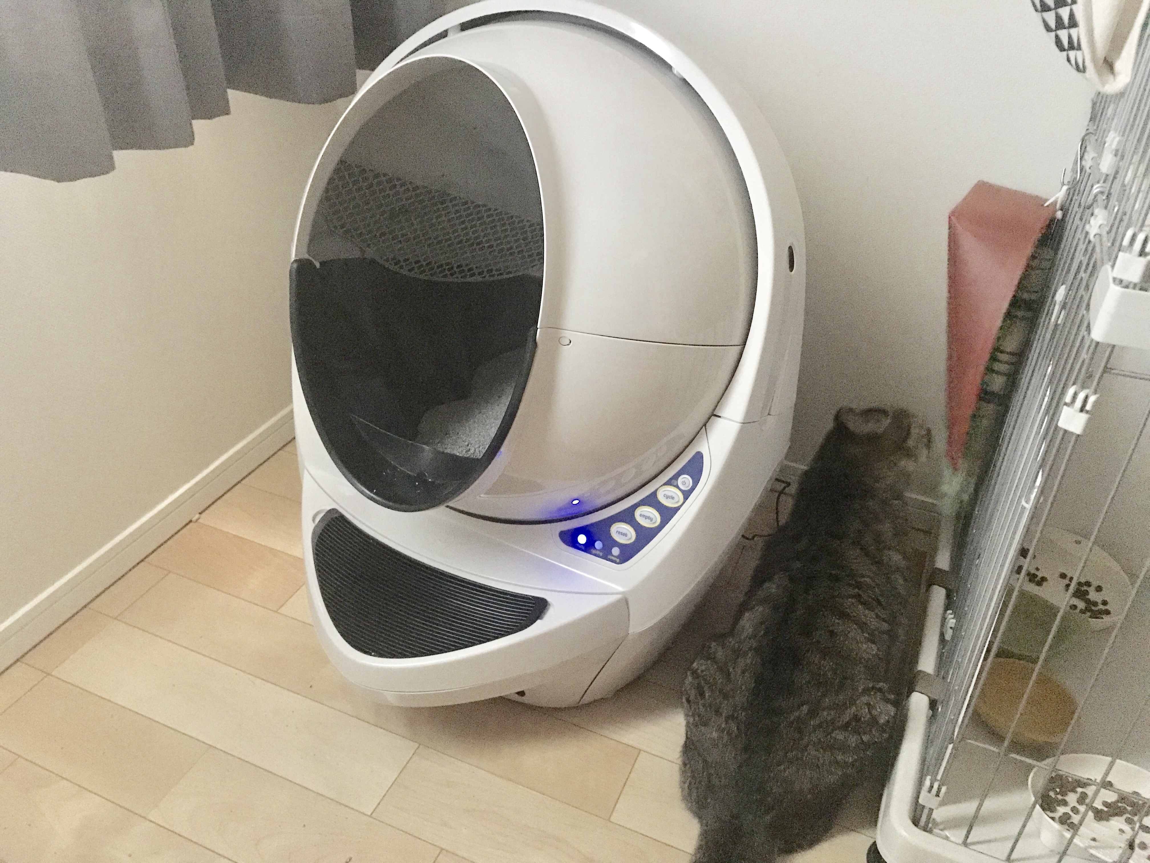 猫トイレそうじを自動化！「キャットロボット オープンエアー」導入に 