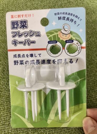 セリアにもあった！野菜を新鮮に保つアレでいつまでもシャキシャキ