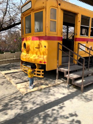 春の子連れおでかけ！飛鳥山公園で電車とお花見ピクニック