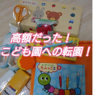 想像以上に高額だった！小規模保育園から、こども園への転園は約6倍！