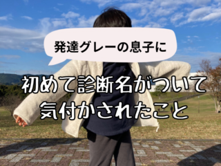 発達グレーの息子に初めて診断名が付いて気付かされたこと