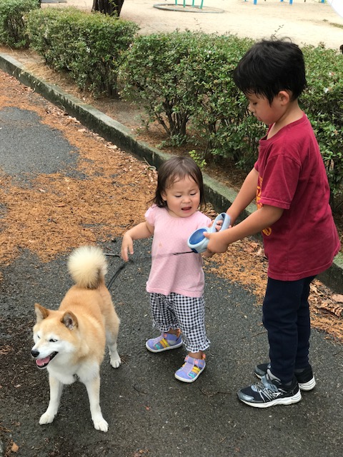 子ども3人、大人2人、犬1匹の暮らしって、どんな感じ？お答えします